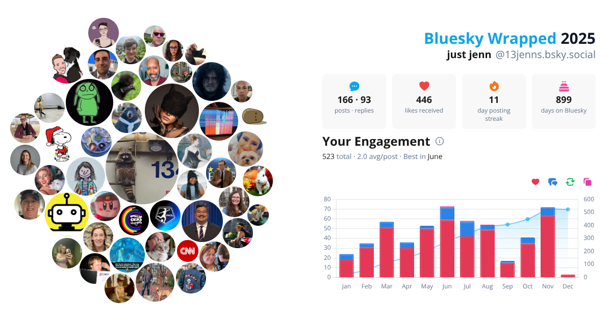 Your Bluesky Wrapped 2025 preview