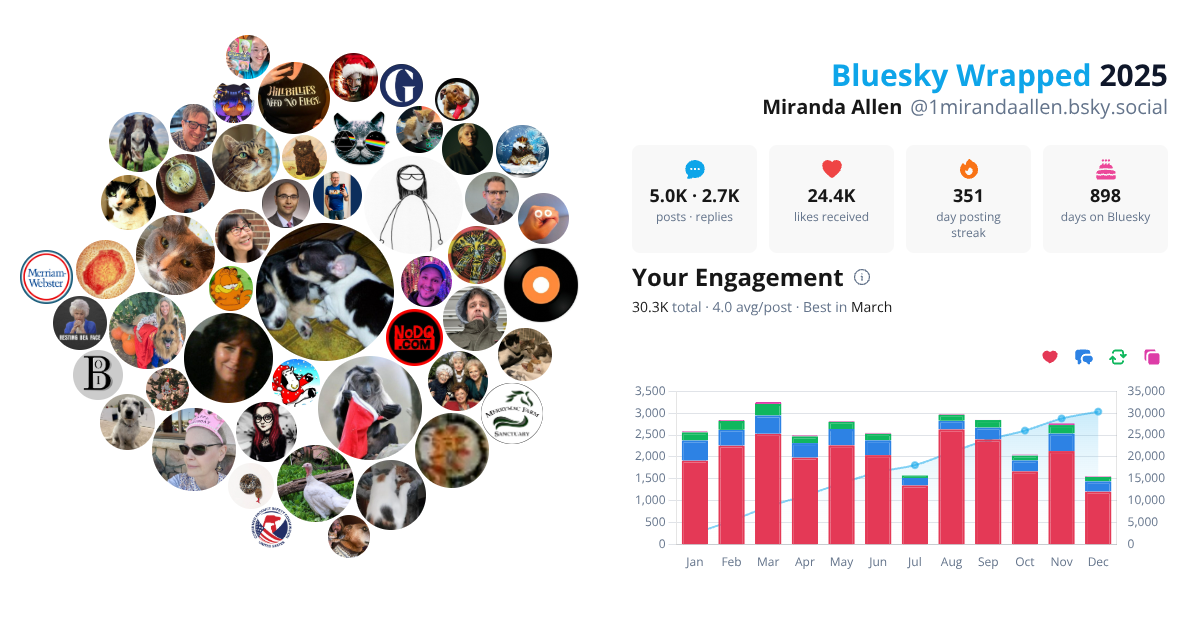 Your Bluesky Wrapped 2025 preview