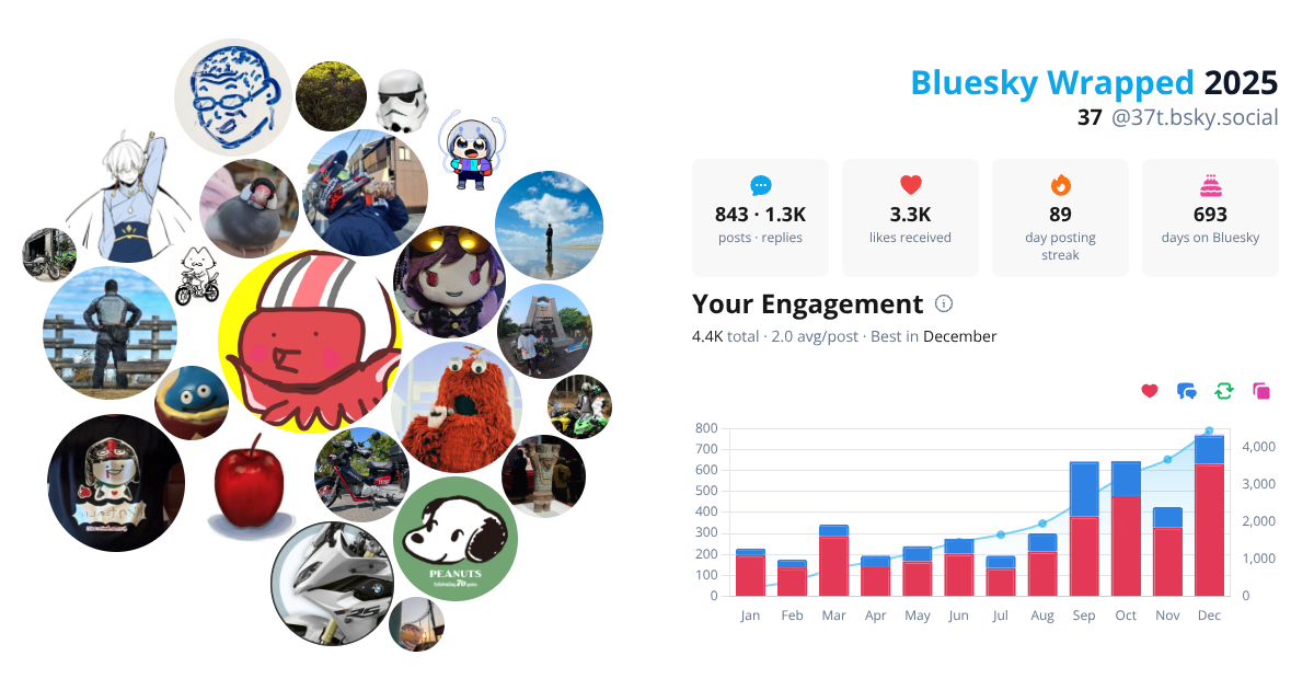 Your Bluesky Wrapped 2025 preview