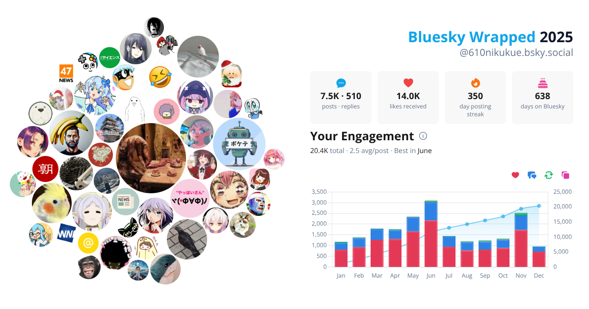 Your Bluesky Wrapped 2025 preview
