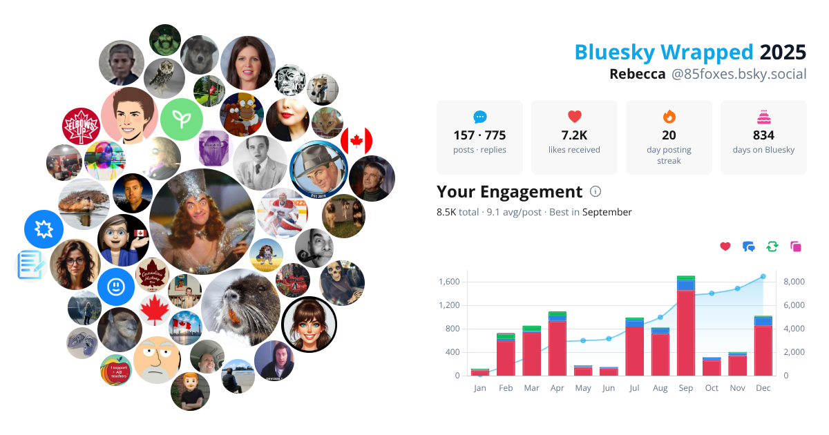 Your Bluesky Wrapped 2025 preview