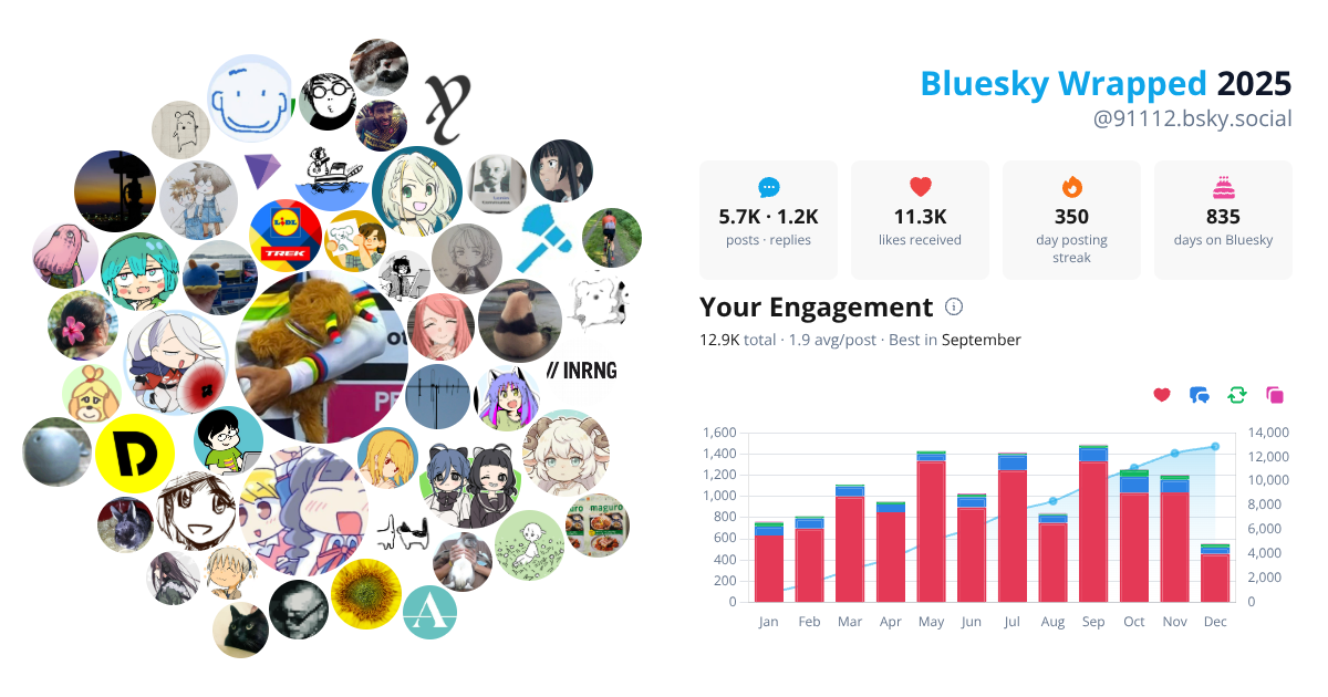 Your Bluesky Wrapped 2025 preview