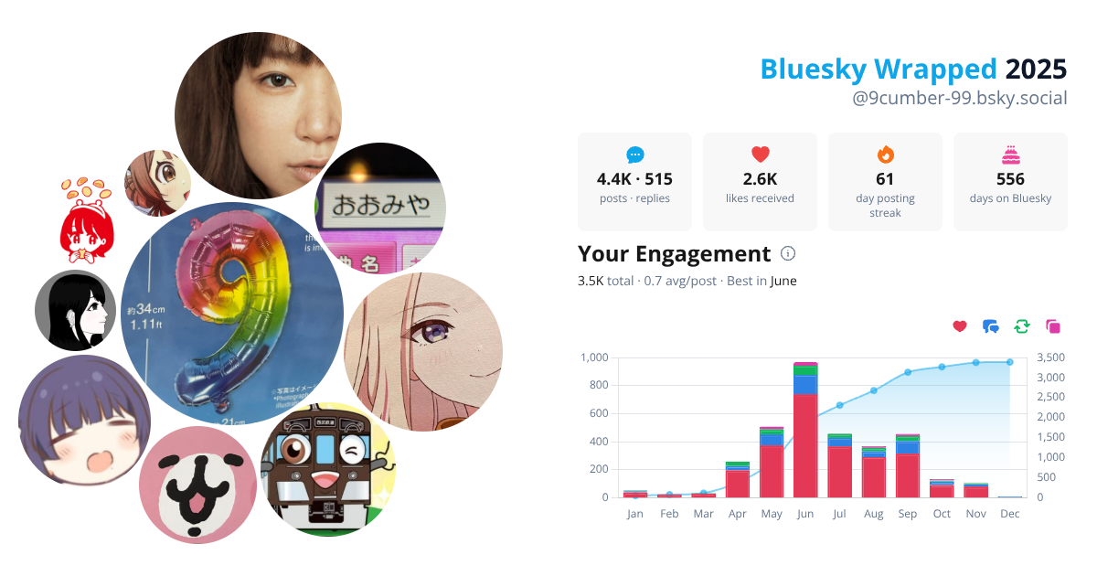 Your Bluesky Wrapped 2025 preview