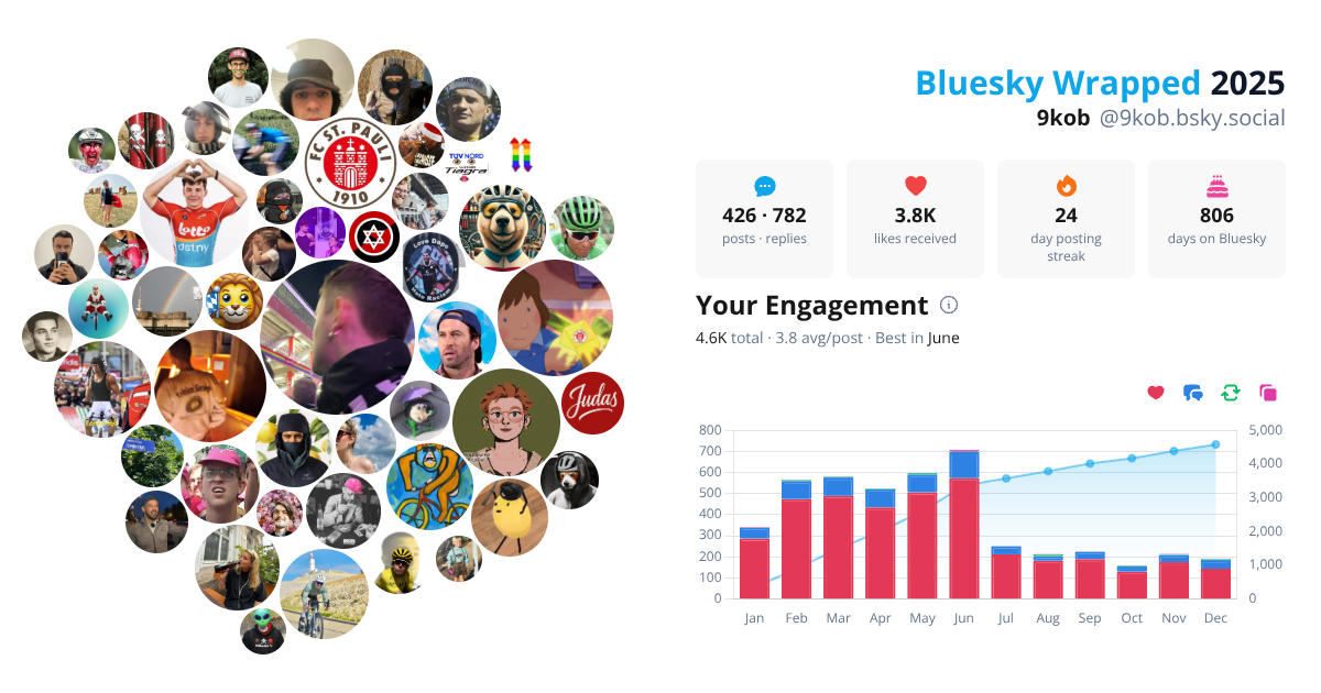 Your Bluesky Wrapped 2025 preview