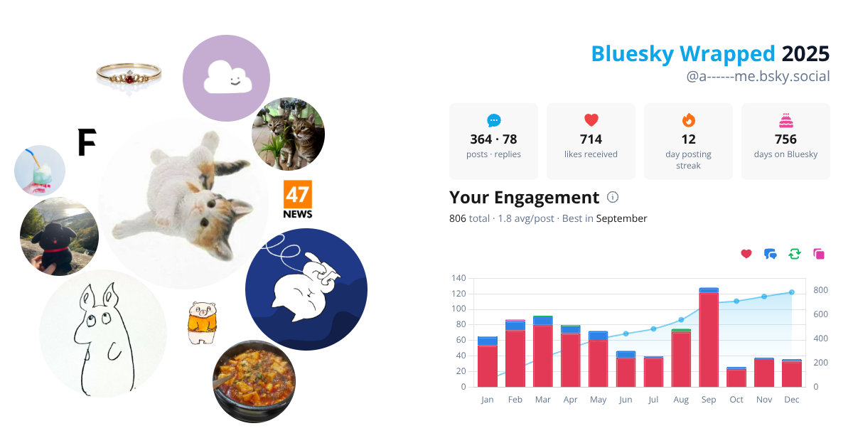 Your Bluesky Wrapped 2025 preview