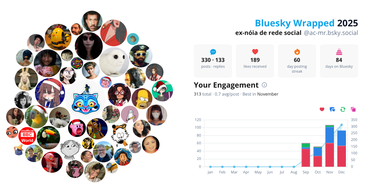 Your Bluesky Wrapped 2025 preview