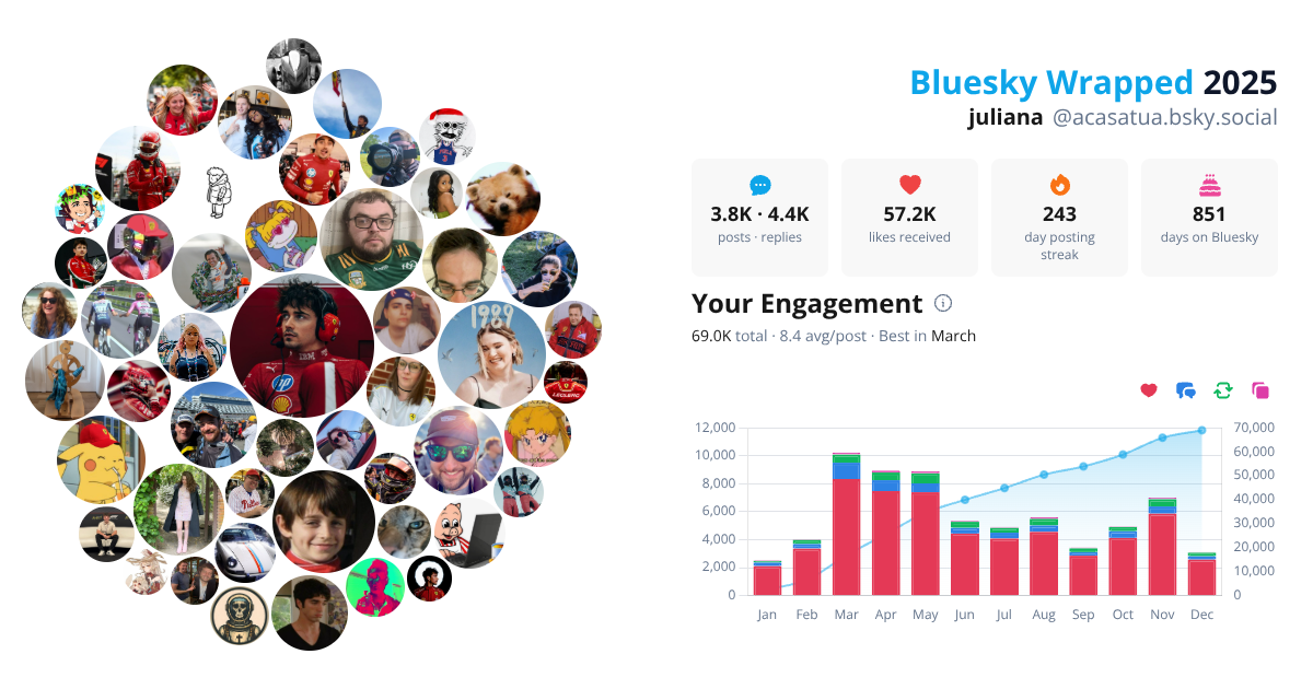 Your Bluesky Wrapped 2025 preview
