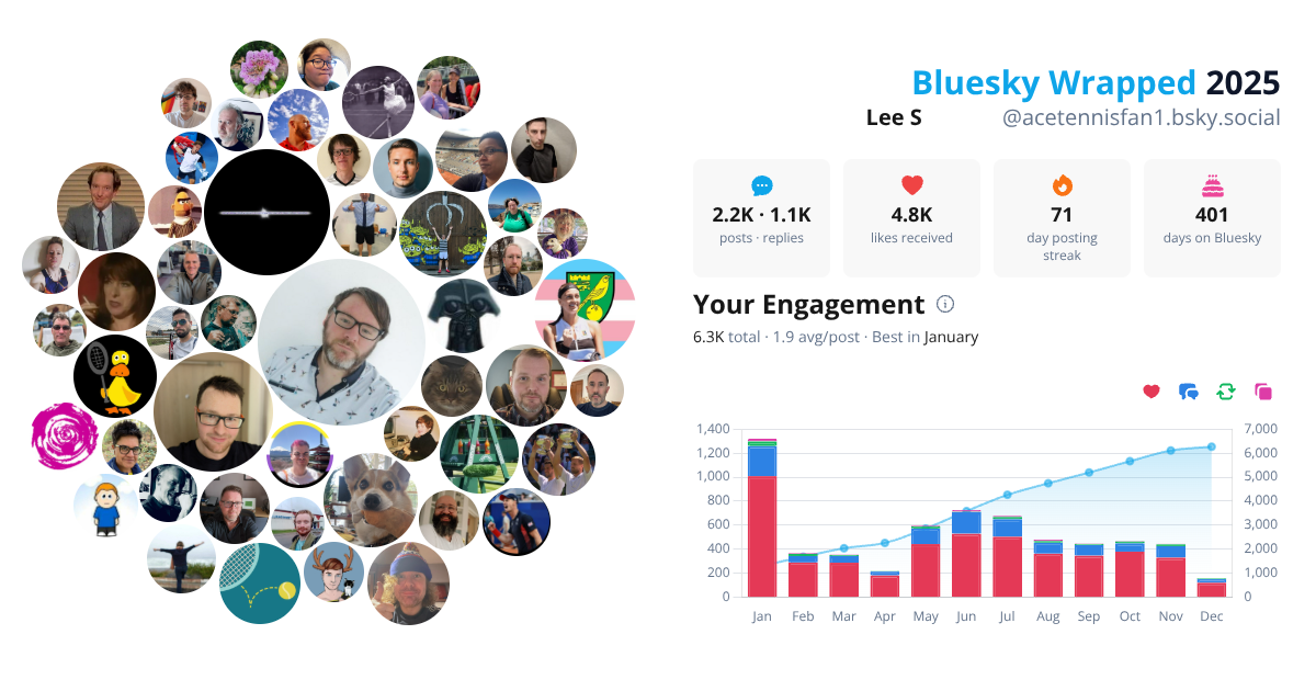 Your Bluesky Wrapped 2025 preview