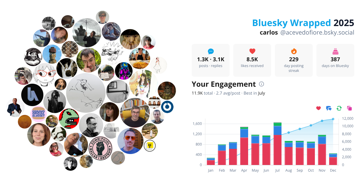 Your Bluesky Wrapped 2025 preview