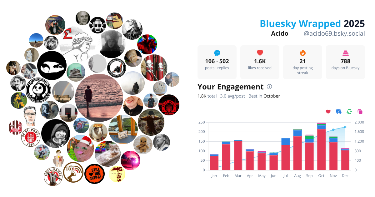 Your Bluesky Wrapped 2025 preview