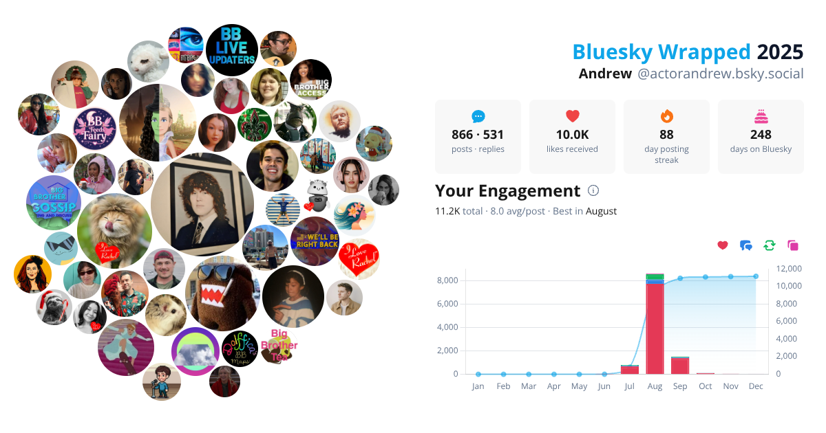 Your Bluesky Wrapped 2025 preview