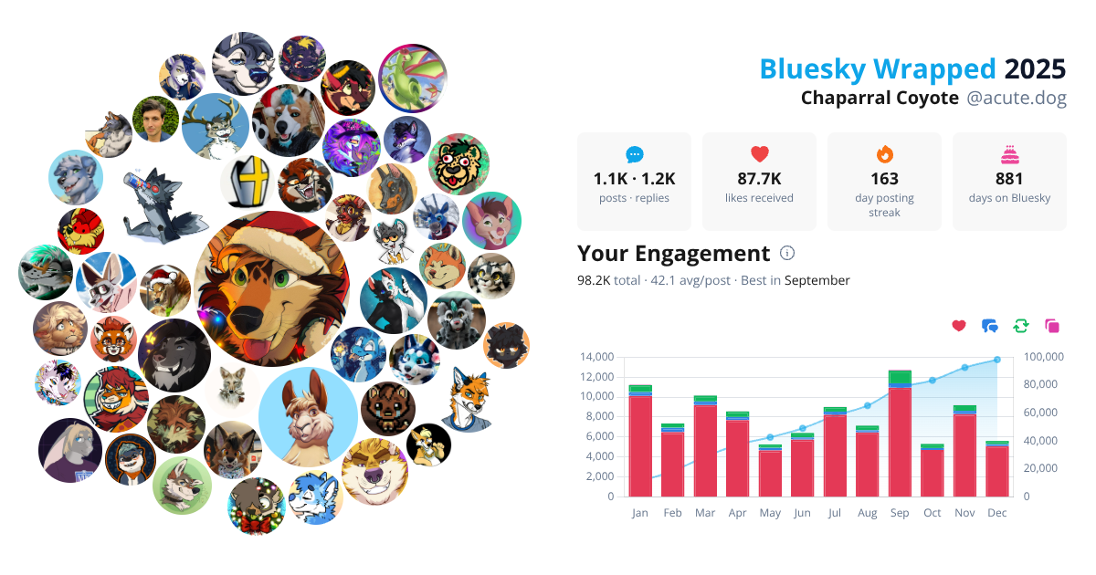 Your Bluesky Wrapped 2025 preview