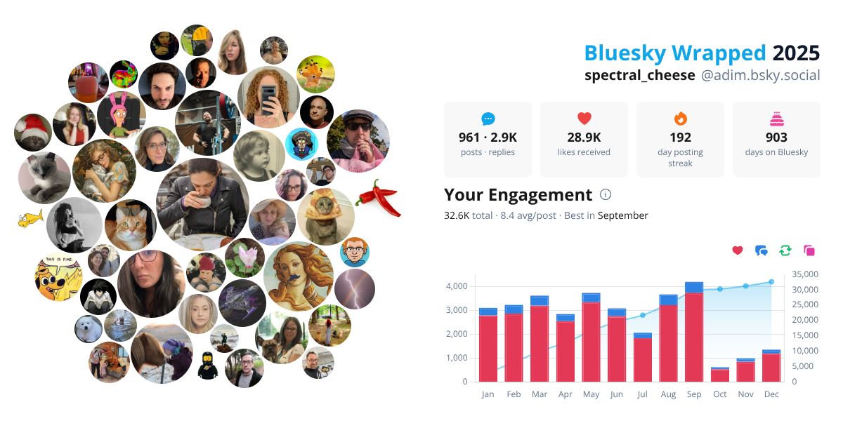 Your Bluesky Wrapped 2025 preview