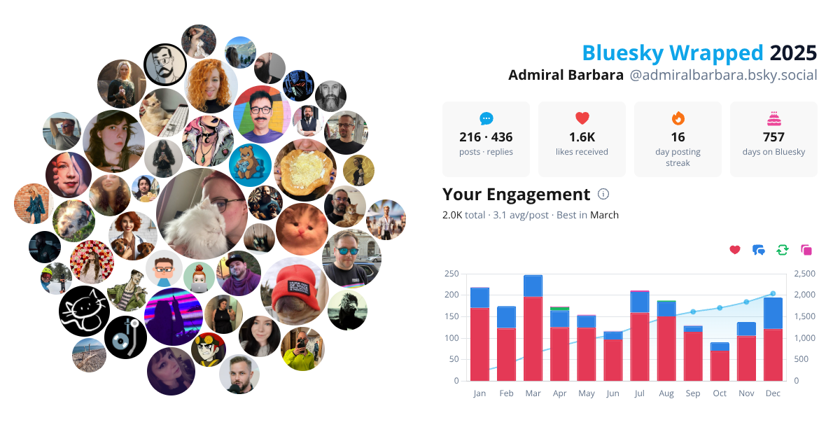 Your Bluesky Wrapped 2025 preview