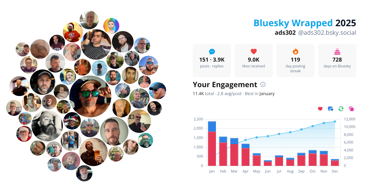 Your Bluesky Wrapped 2025 preview
