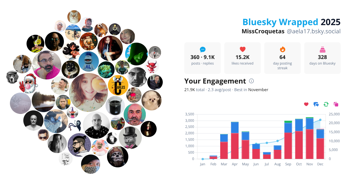 Your Bluesky Wrapped 2025 preview