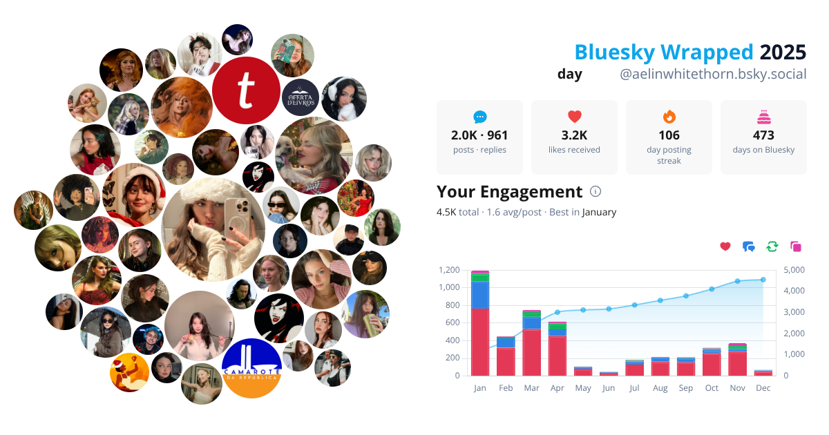 Your Bluesky Wrapped 2025 preview