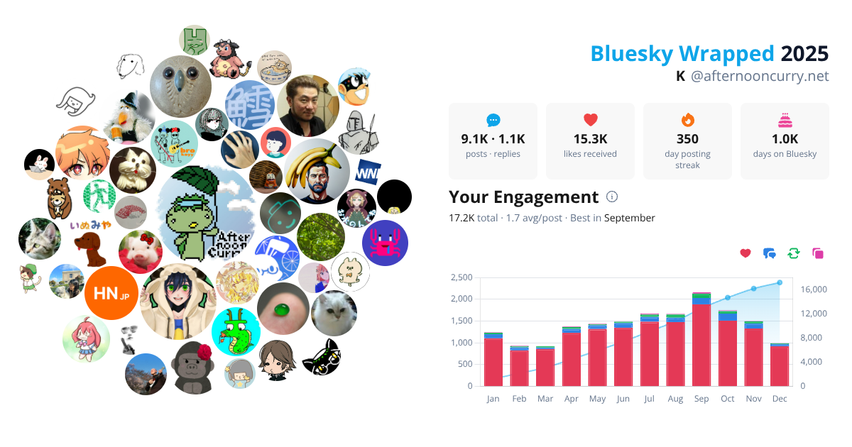 Your Bluesky Wrapped 2025 preview