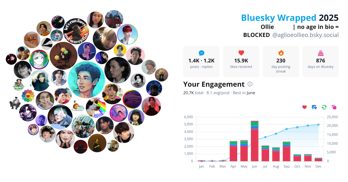 Your Bluesky Wrapped 2025 preview