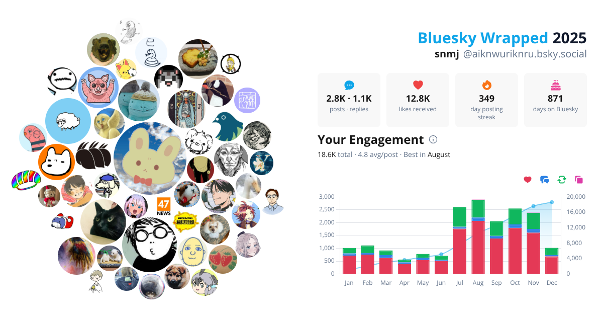 Your Bluesky Wrapped 2025 preview