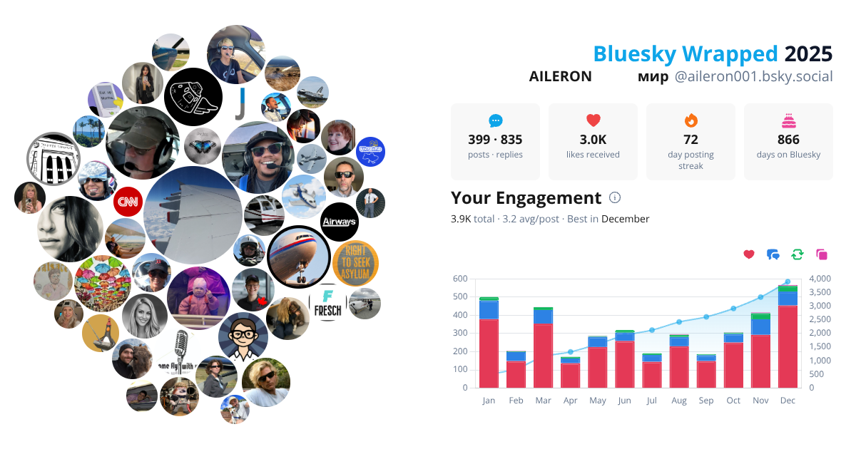 Your Bluesky Wrapped 2025 preview