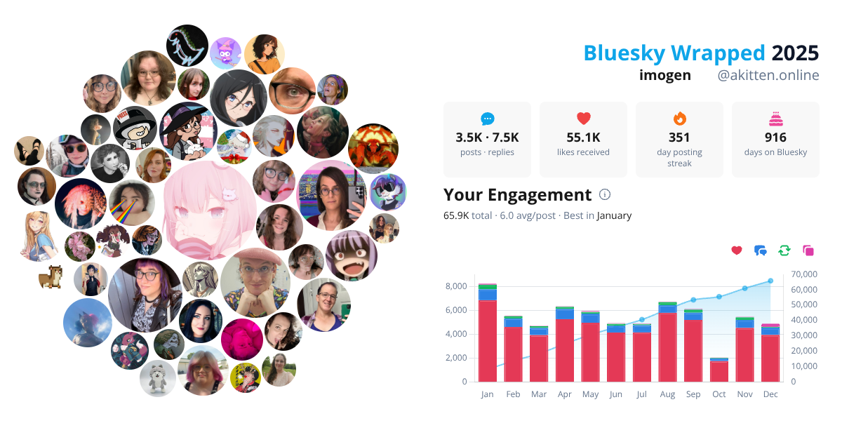 Your Bluesky Wrapped 2025 preview