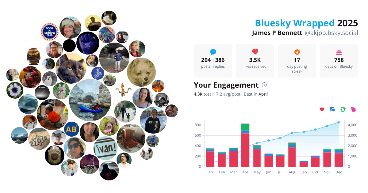 Your Bluesky Wrapped 2025 preview