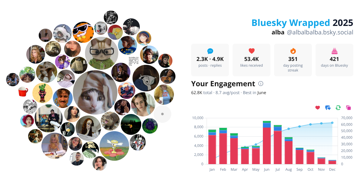 Your Bluesky Wrapped 2025 preview