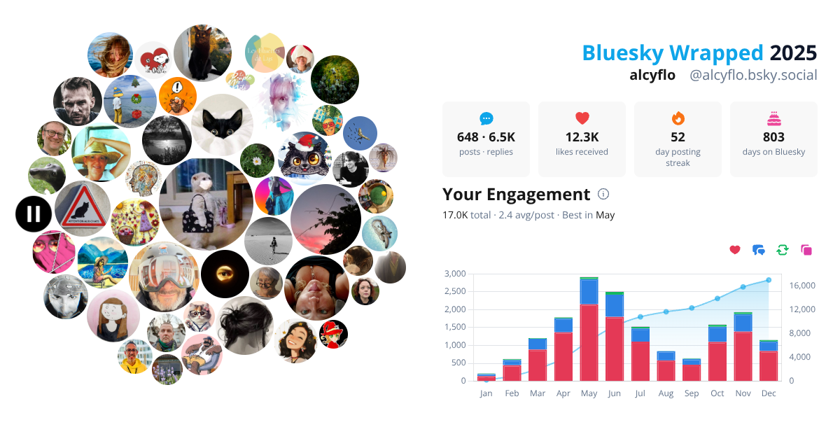 Your Bluesky Wrapped 2025 preview