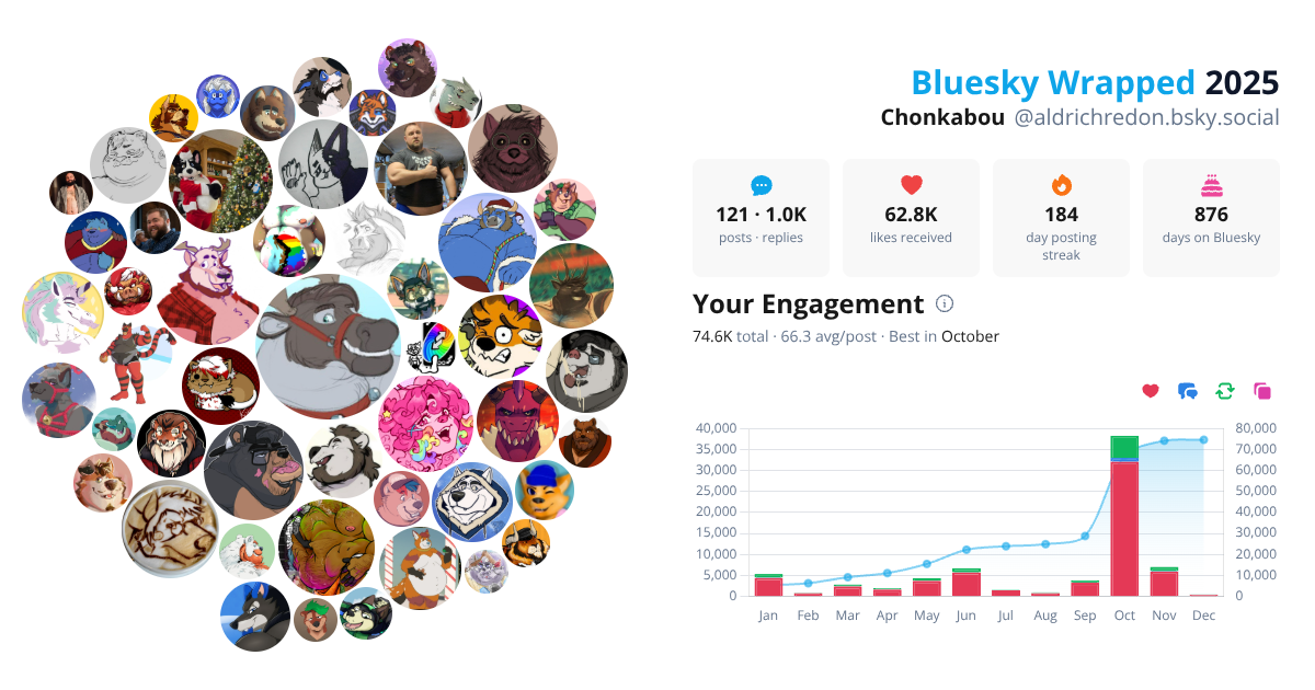 Your Bluesky Wrapped 2025 preview