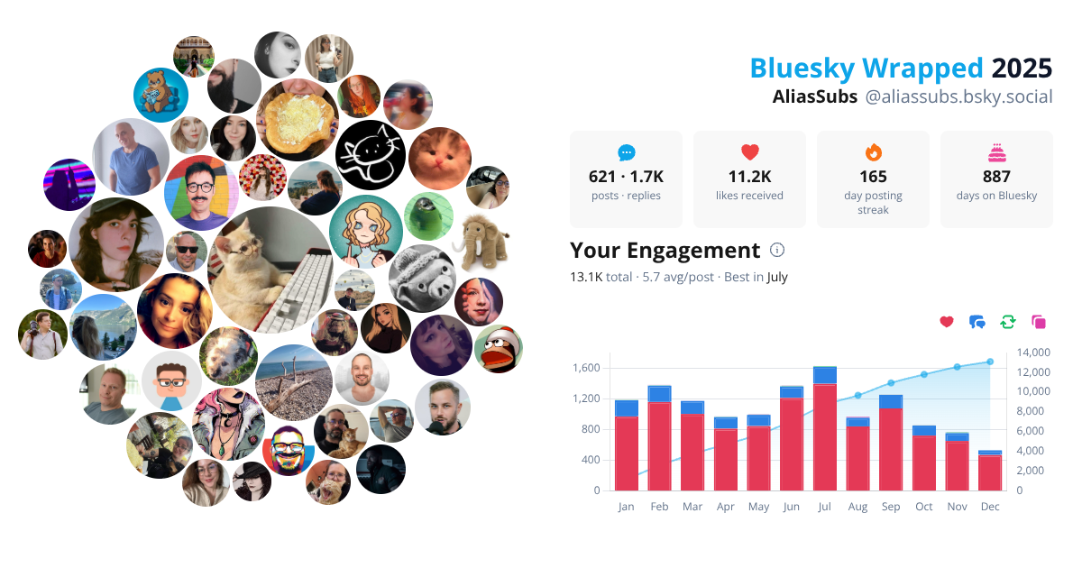 Your Bluesky Wrapped 2025 preview
