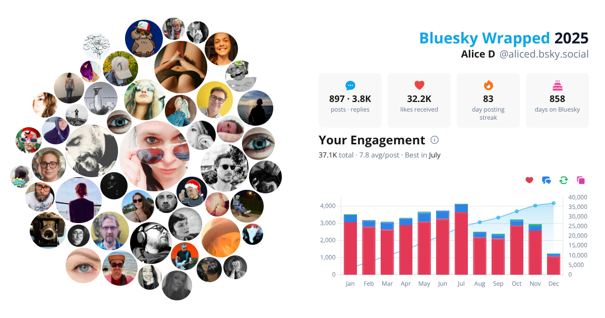 Your Bluesky Wrapped 2025 preview