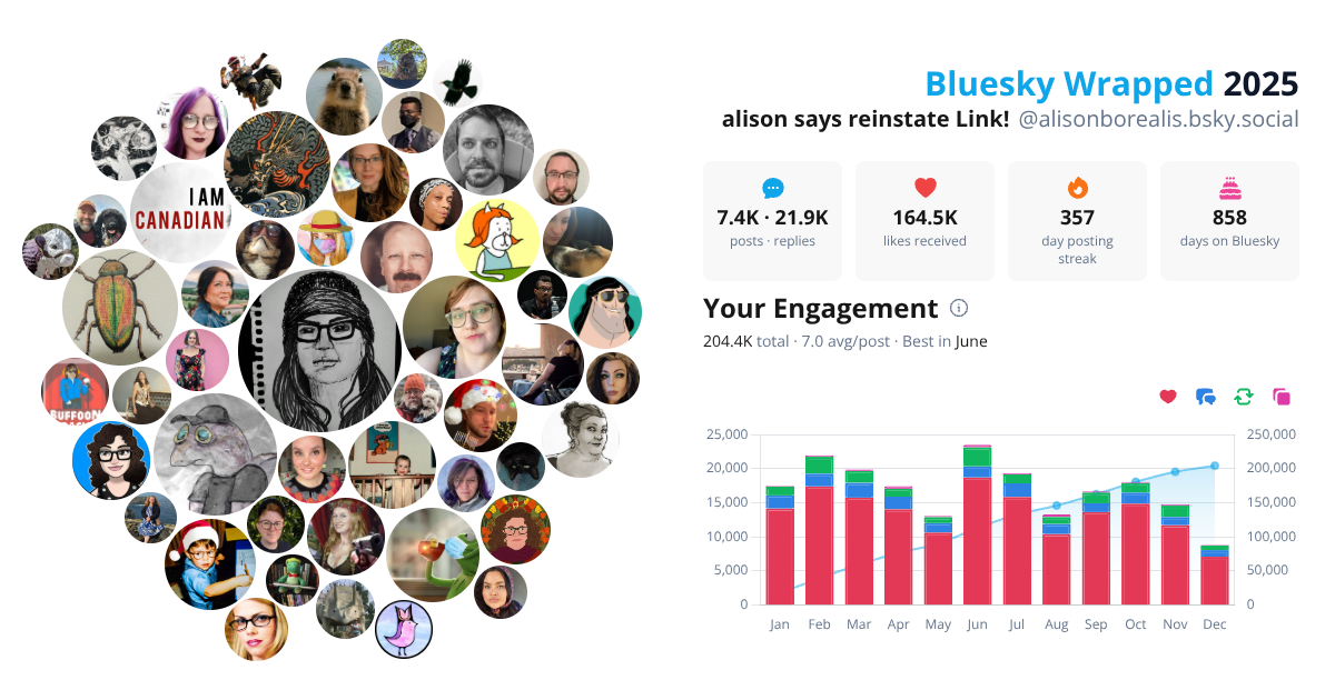 Your Bluesky Wrapped 2025 preview