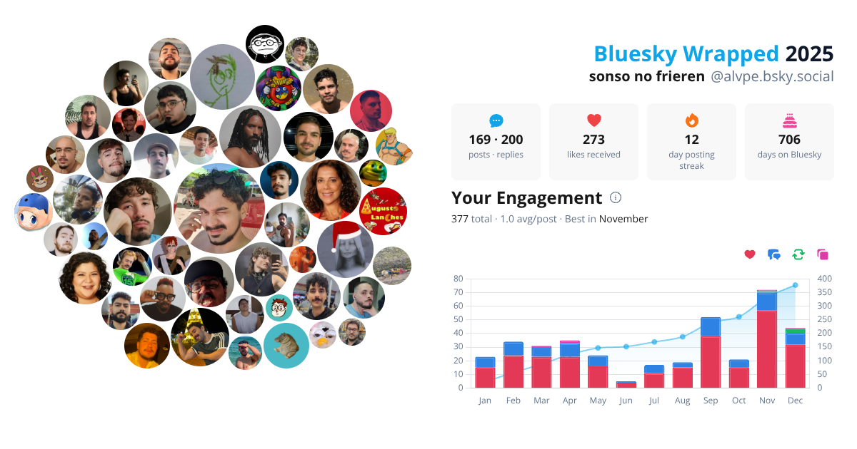 Your Bluesky Wrapped 2025 preview