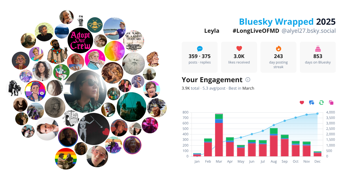 Your Bluesky Wrapped 2025 preview