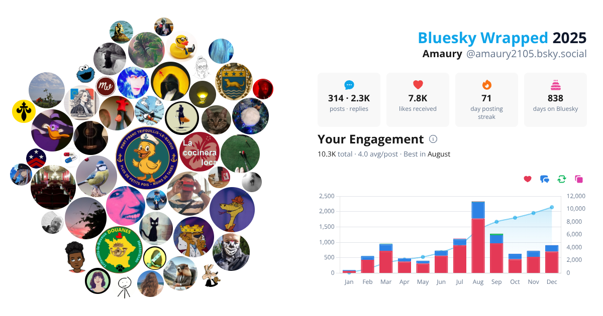 Your Bluesky Wrapped 2025 preview