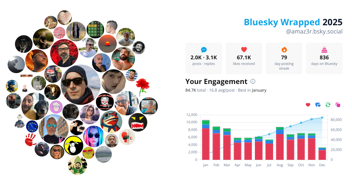 Your Bluesky Wrapped 2025 preview