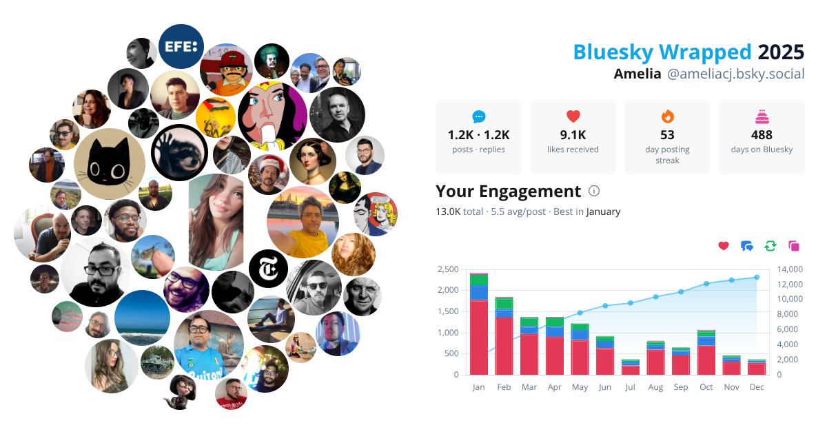 Your Bluesky Wrapped 2025 preview