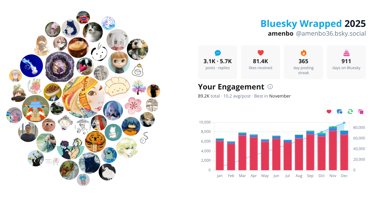 Your Bluesky Wrapped 2025 preview