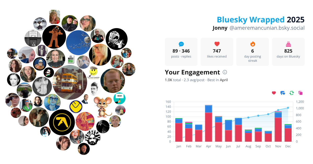 Your Bluesky Wrapped 2025 preview