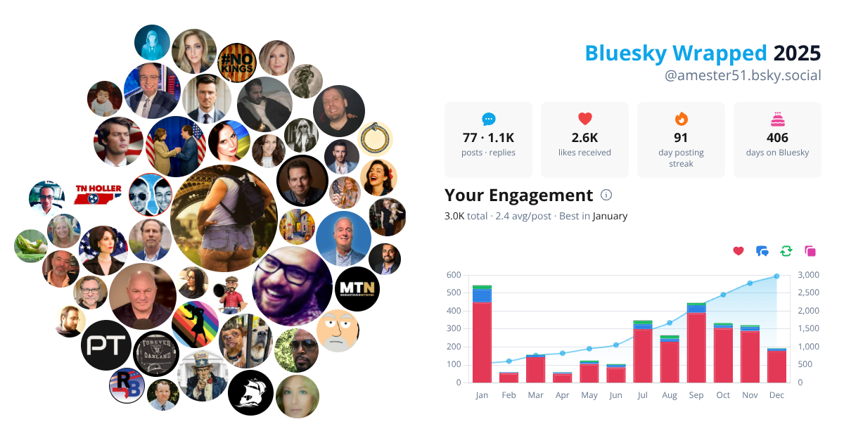 Your Bluesky Wrapped 2025 preview