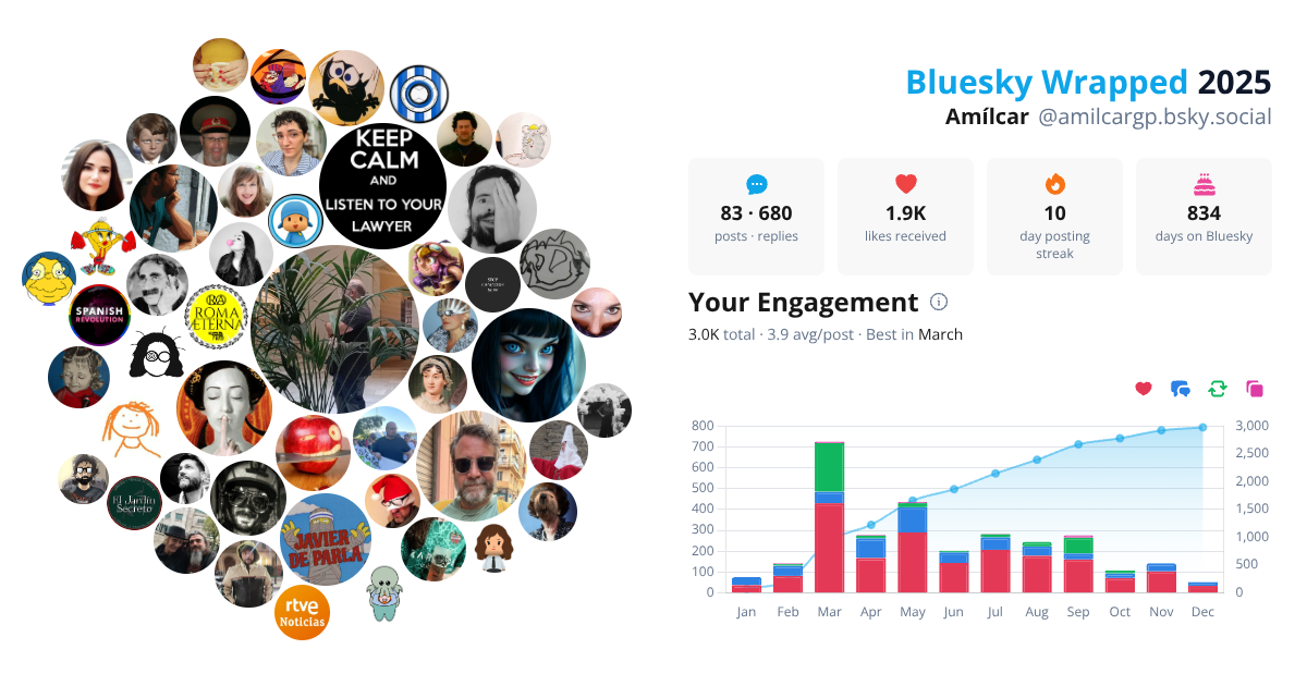 Your Bluesky Wrapped 2025 preview