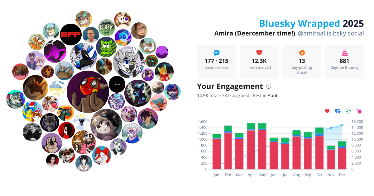Your Bluesky Wrapped 2025 preview