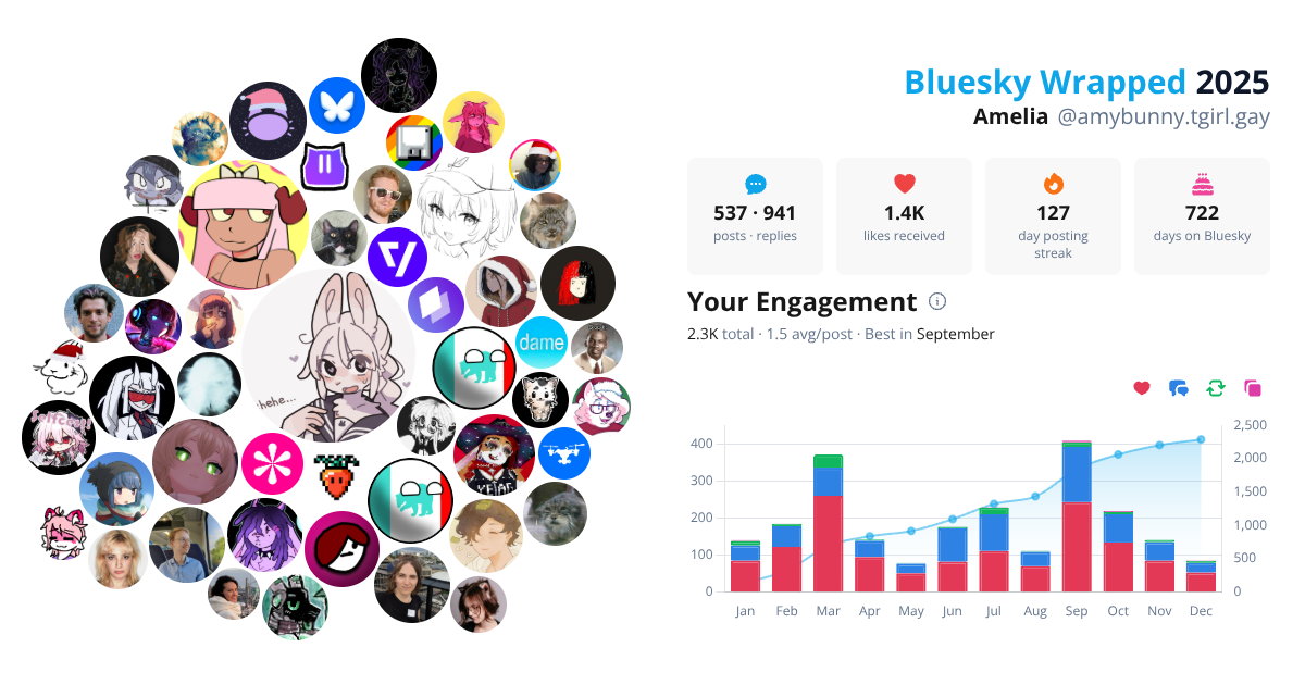 Your Bluesky Wrapped 2025 preview