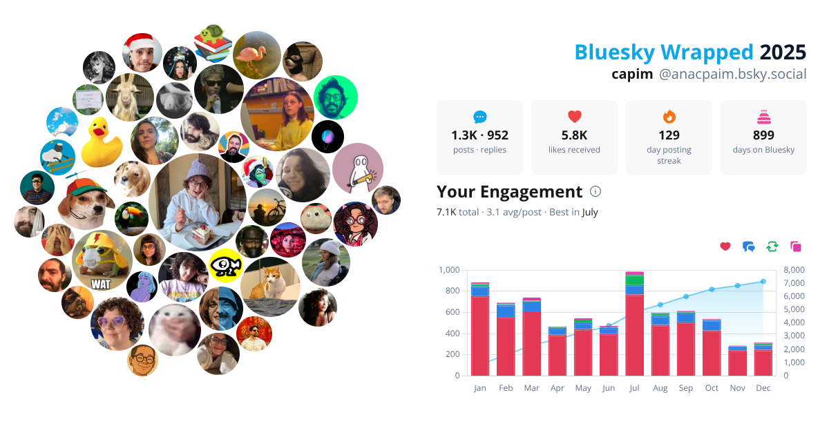 Your Bluesky Wrapped 2025 preview