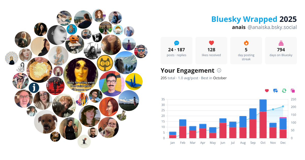 Your Bluesky Wrapped 2025 preview