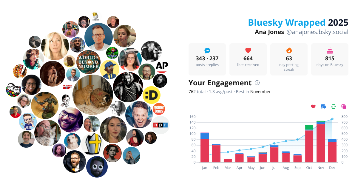 Your Bluesky Wrapped 2025 preview