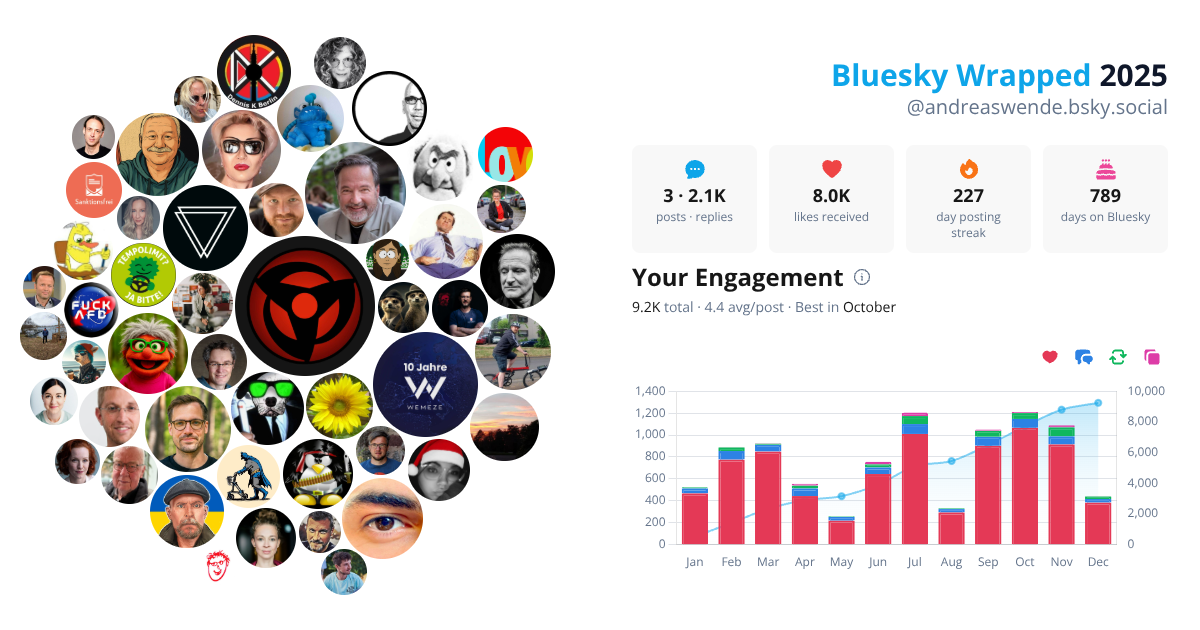 Your Bluesky Wrapped 2025 preview