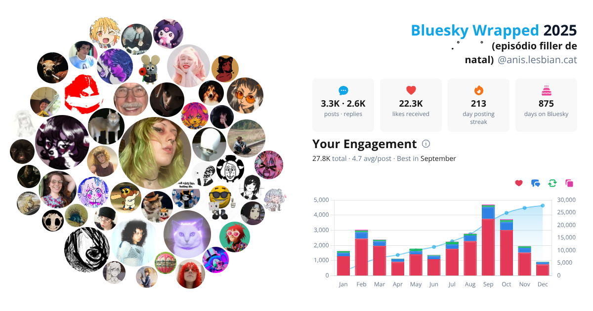 Your Bluesky Wrapped 2025 preview