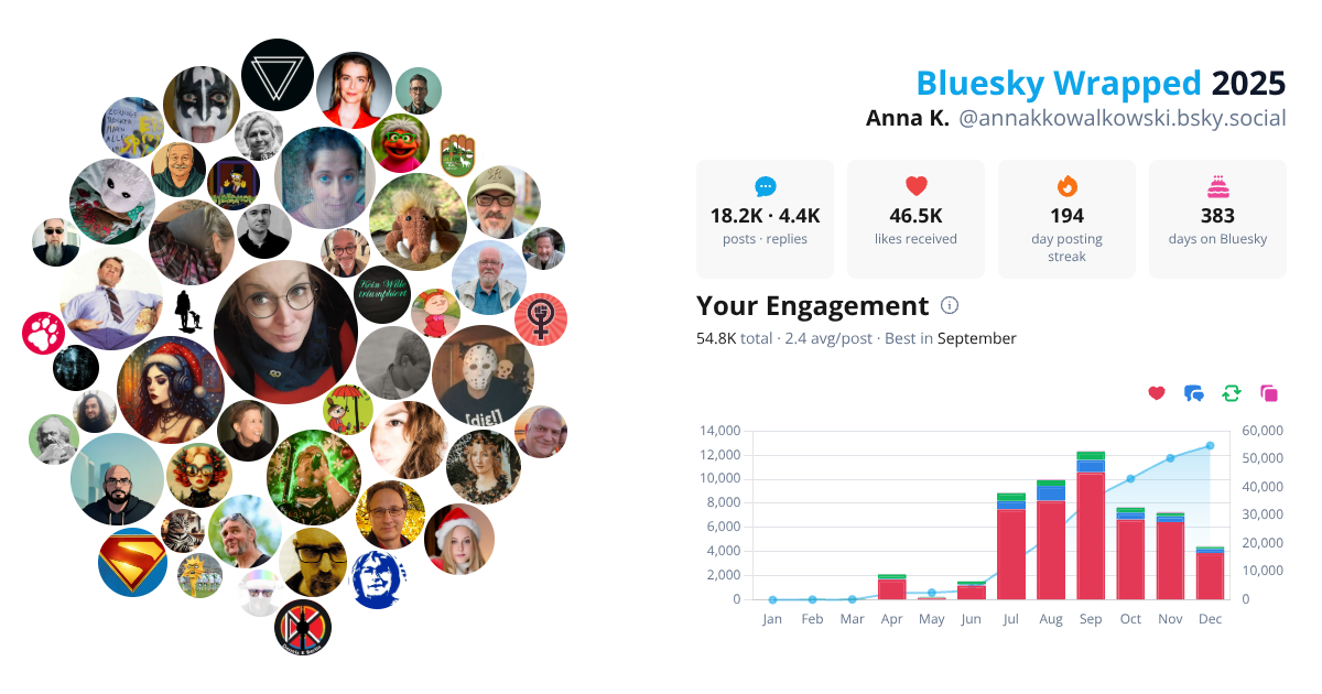 Your Bluesky Wrapped 2025 preview